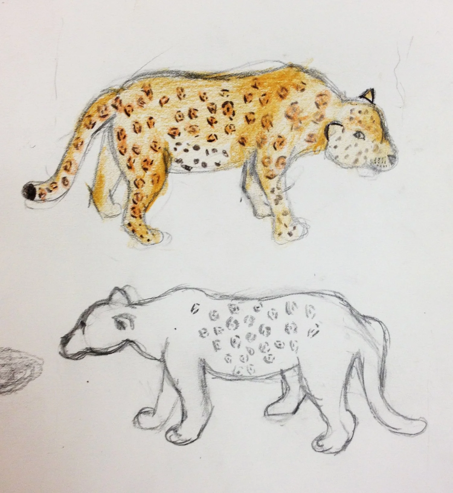 layla+leopard+2.jpg