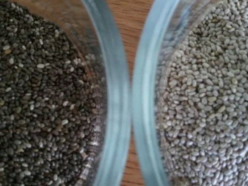 Chia seeds come in two varieties - dark & light