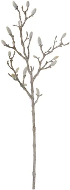 st822.jpg