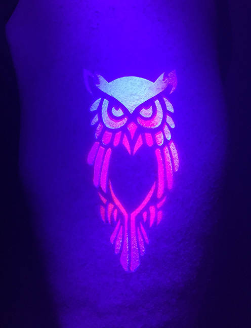 Blacklight Airbrush -  Owl.jpg