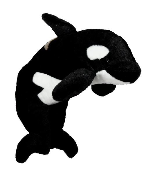 Orca / Killer Whale