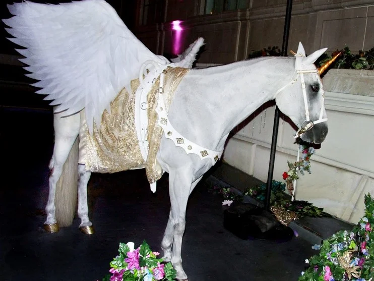 Milo the Unicorn’s Living Pegasus Costume (also called an alicorn Costume) is perfect for your next opera, Studio 54, white party, toga party, USC Football celebration, or TV commercial! (c) Violet Schrage