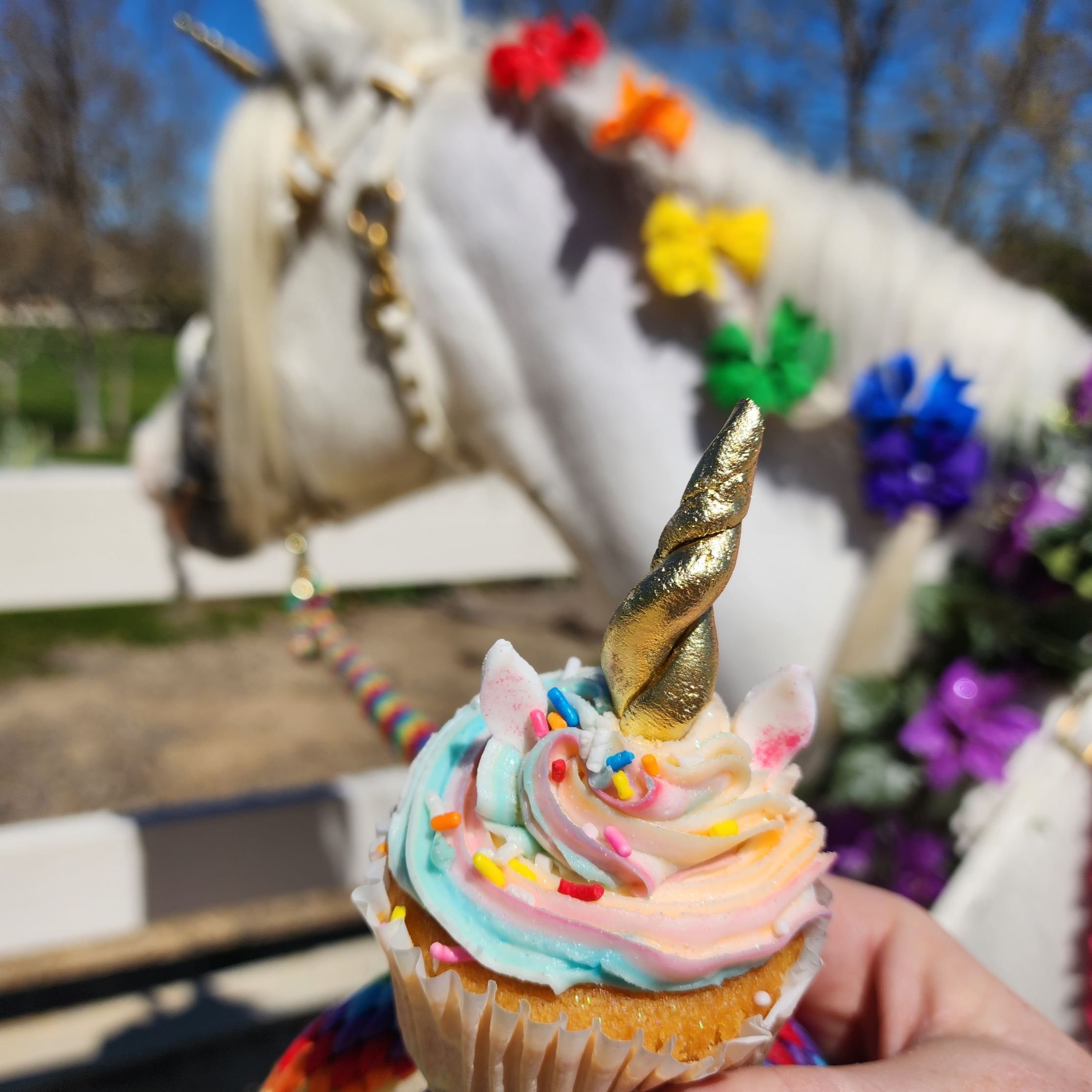 Rainbow Unicorn Cupcake Square web.jpg