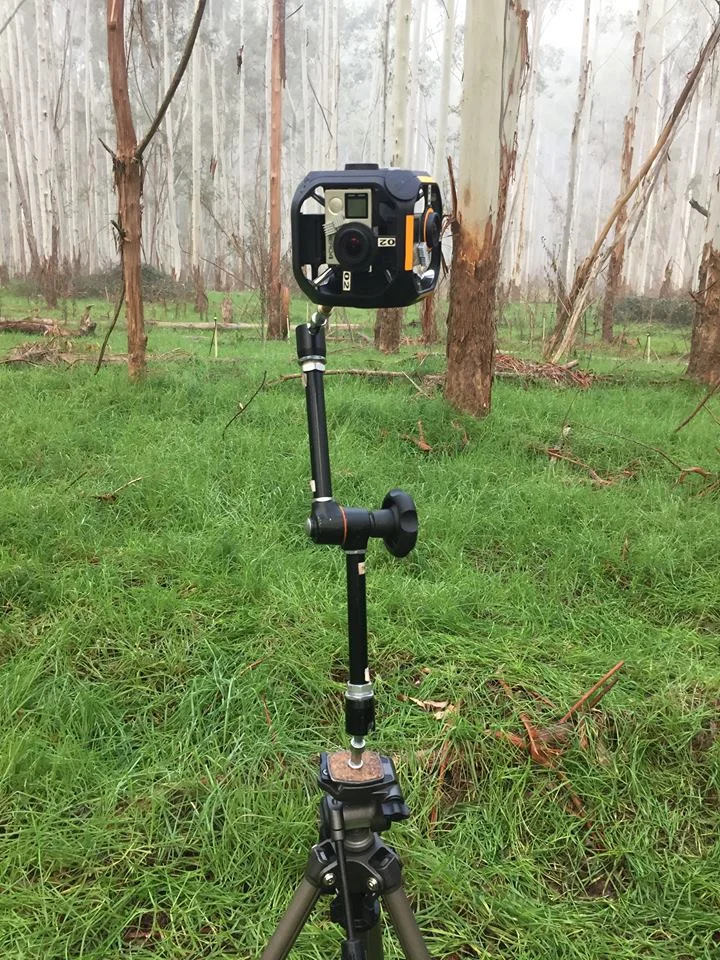 Rig in fog