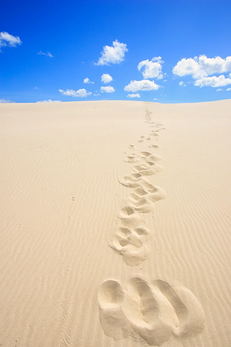 Fraser Island