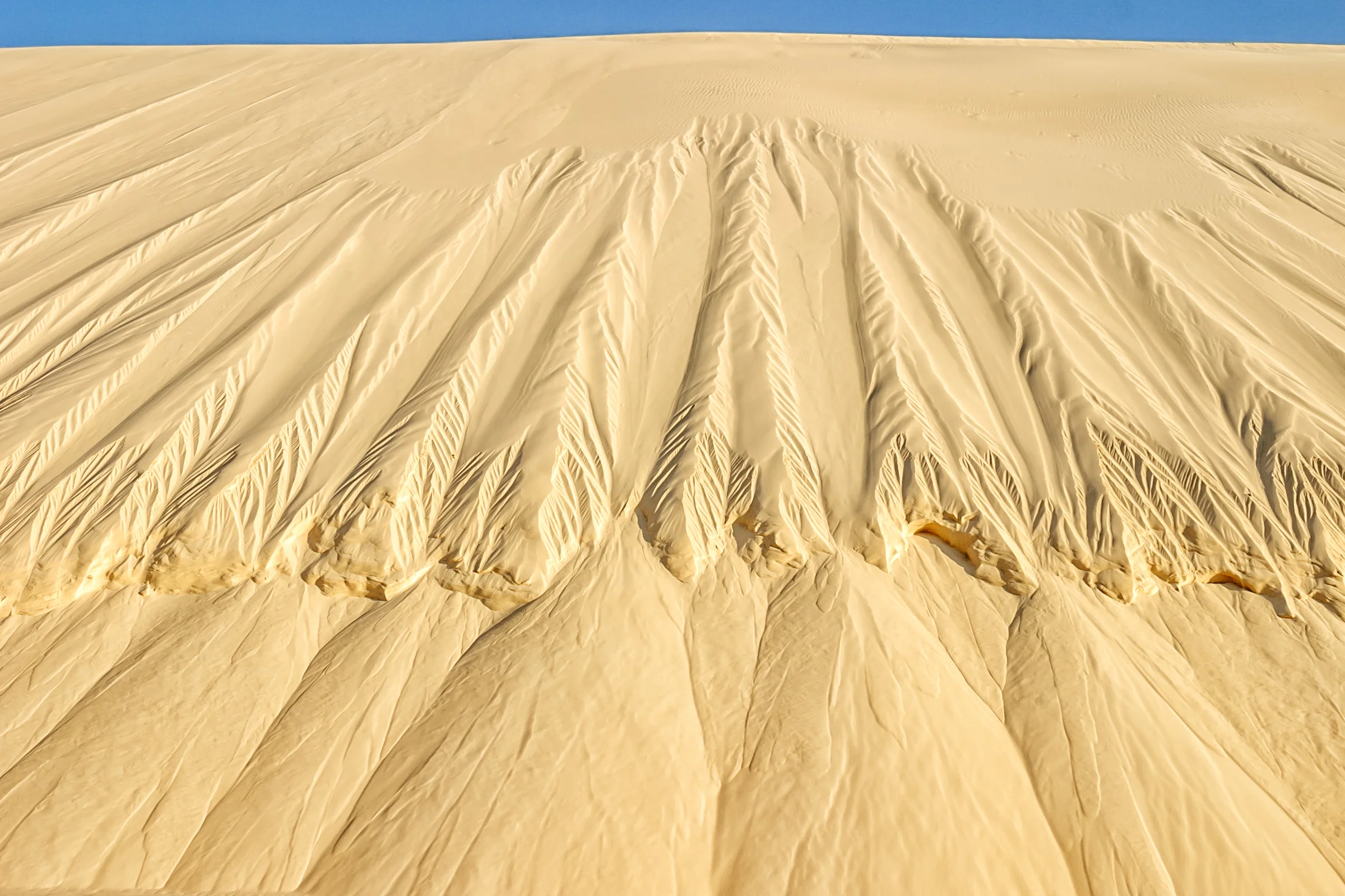 Fraser Island Dunes
