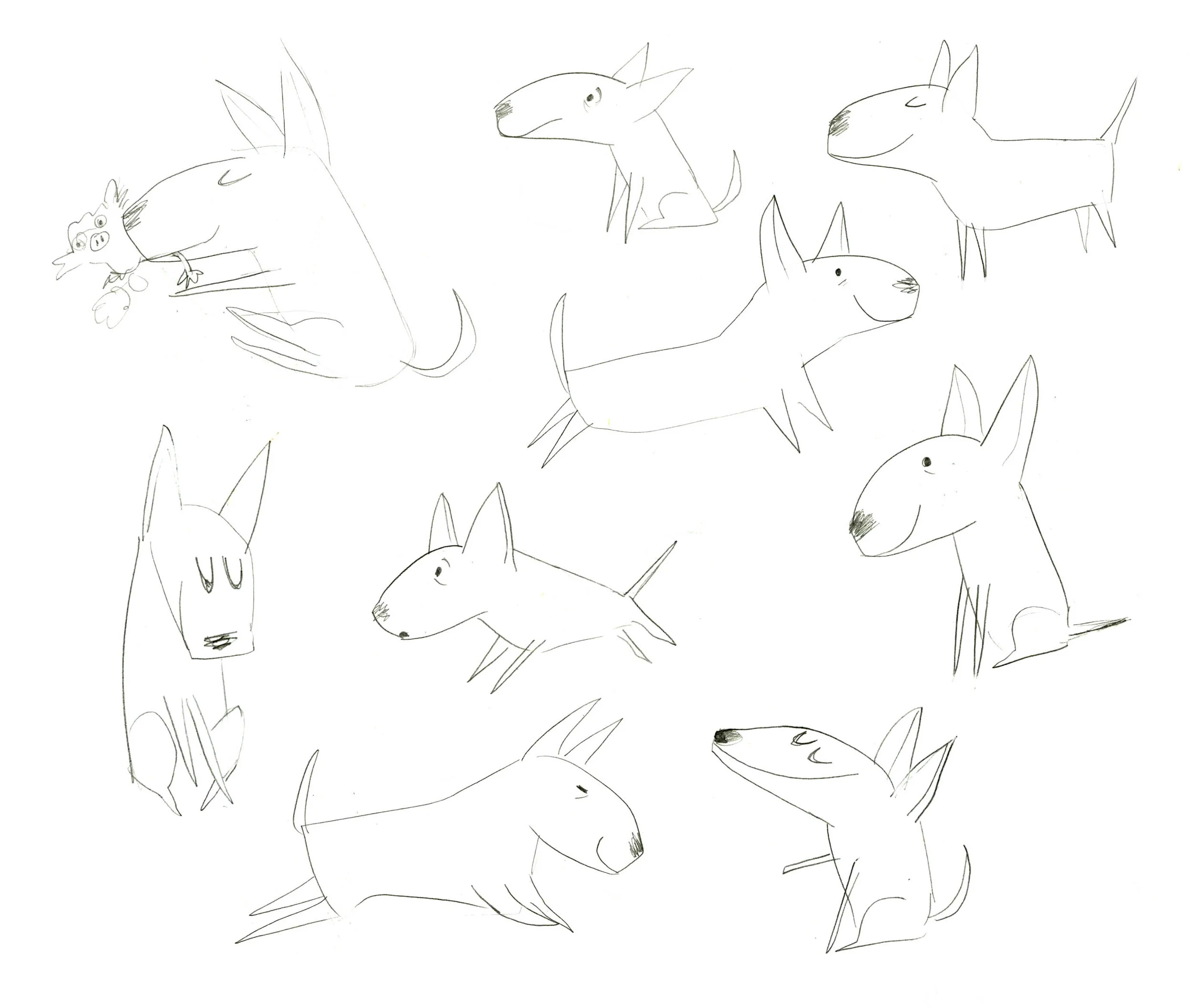 bull terriers.jpg