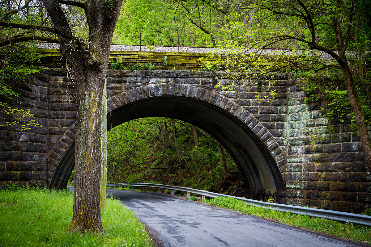 Spring Time Passage (11x14)