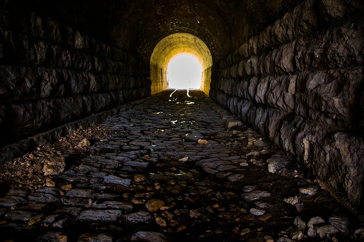 IMG_9880 (Tunnel Vision) copy.jpg