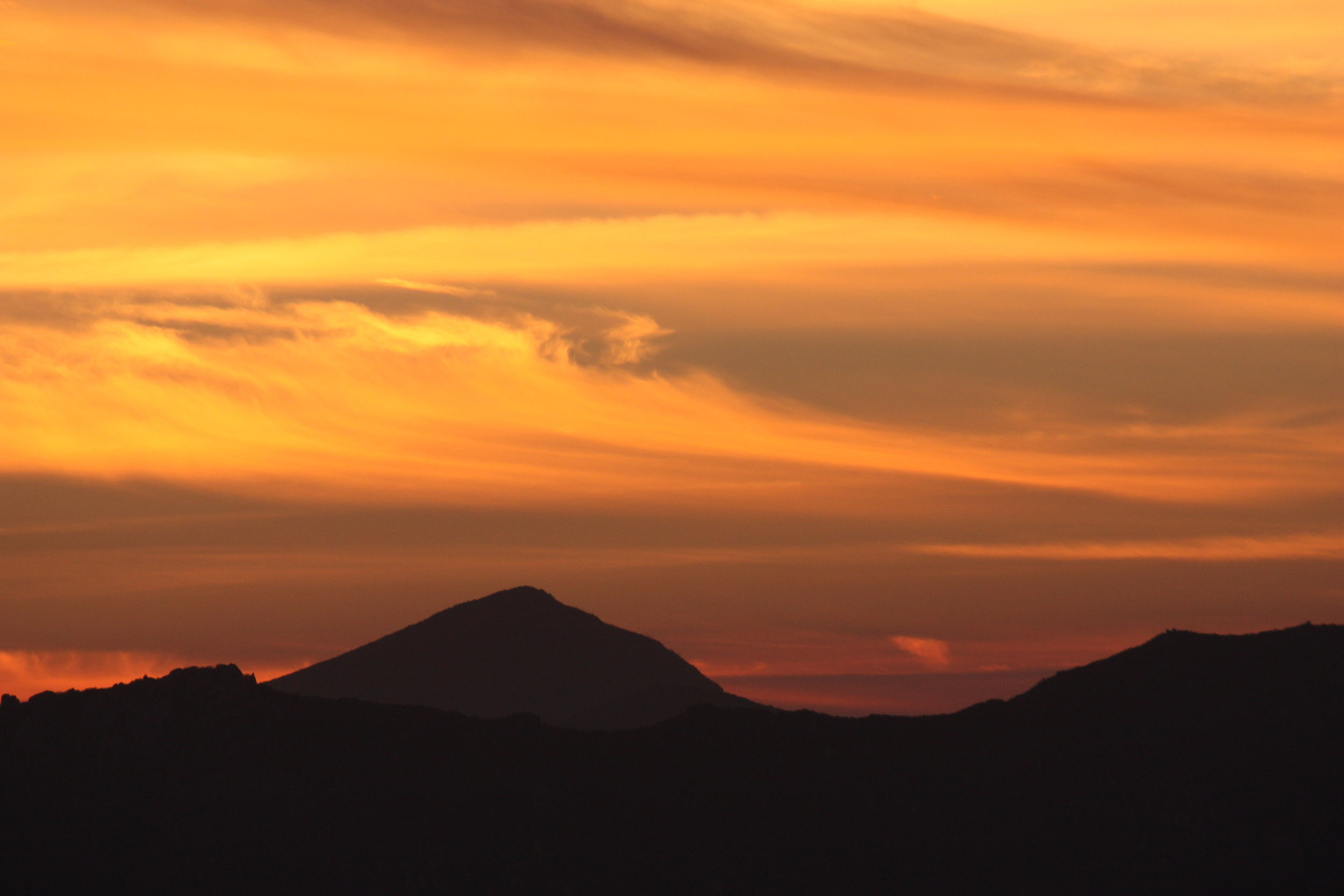sonatasunset.jpg