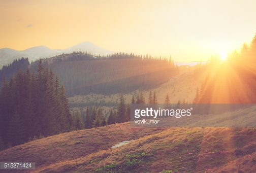 Photo by vovik_mar/iStock / Getty Images