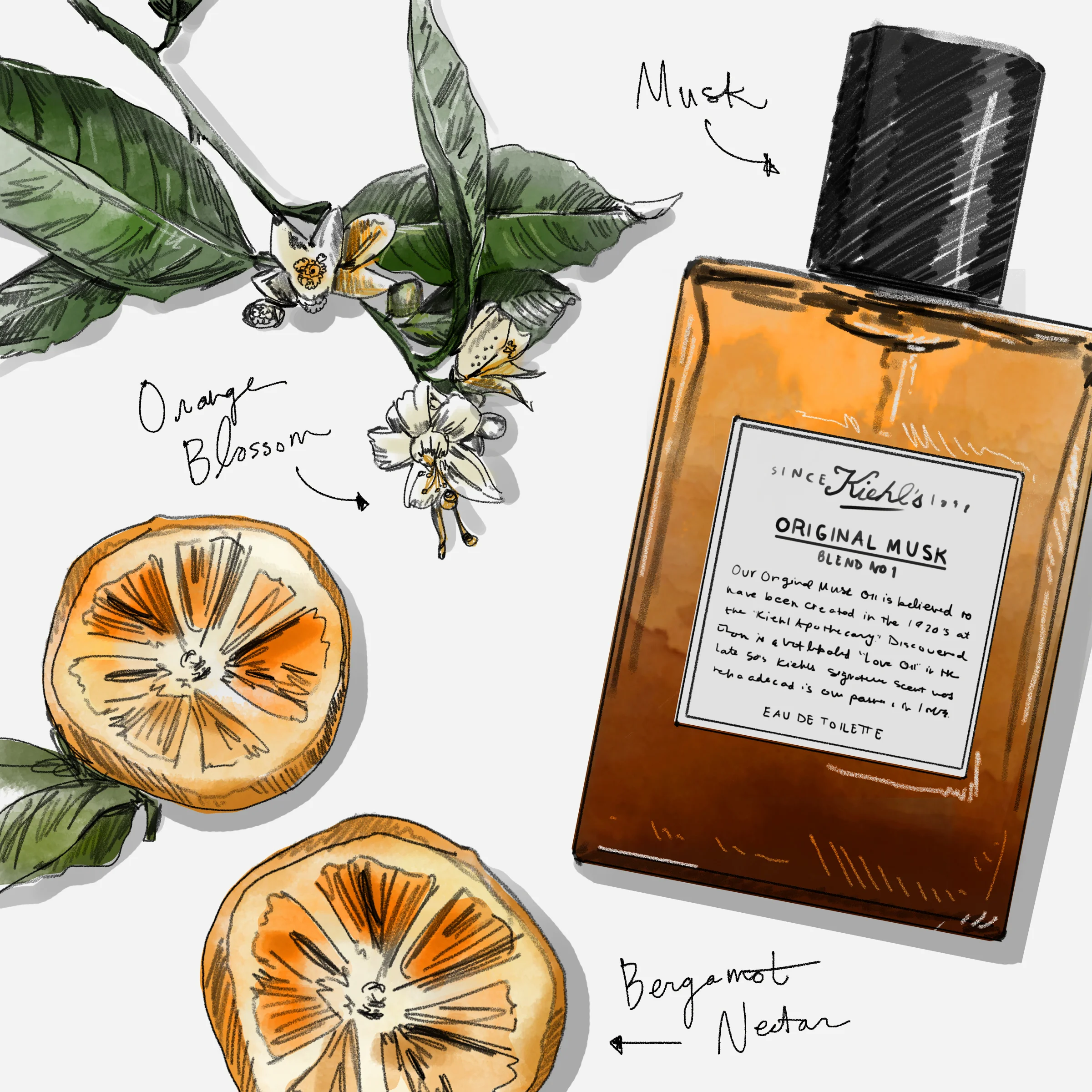 Kiehl's Spring Campaign