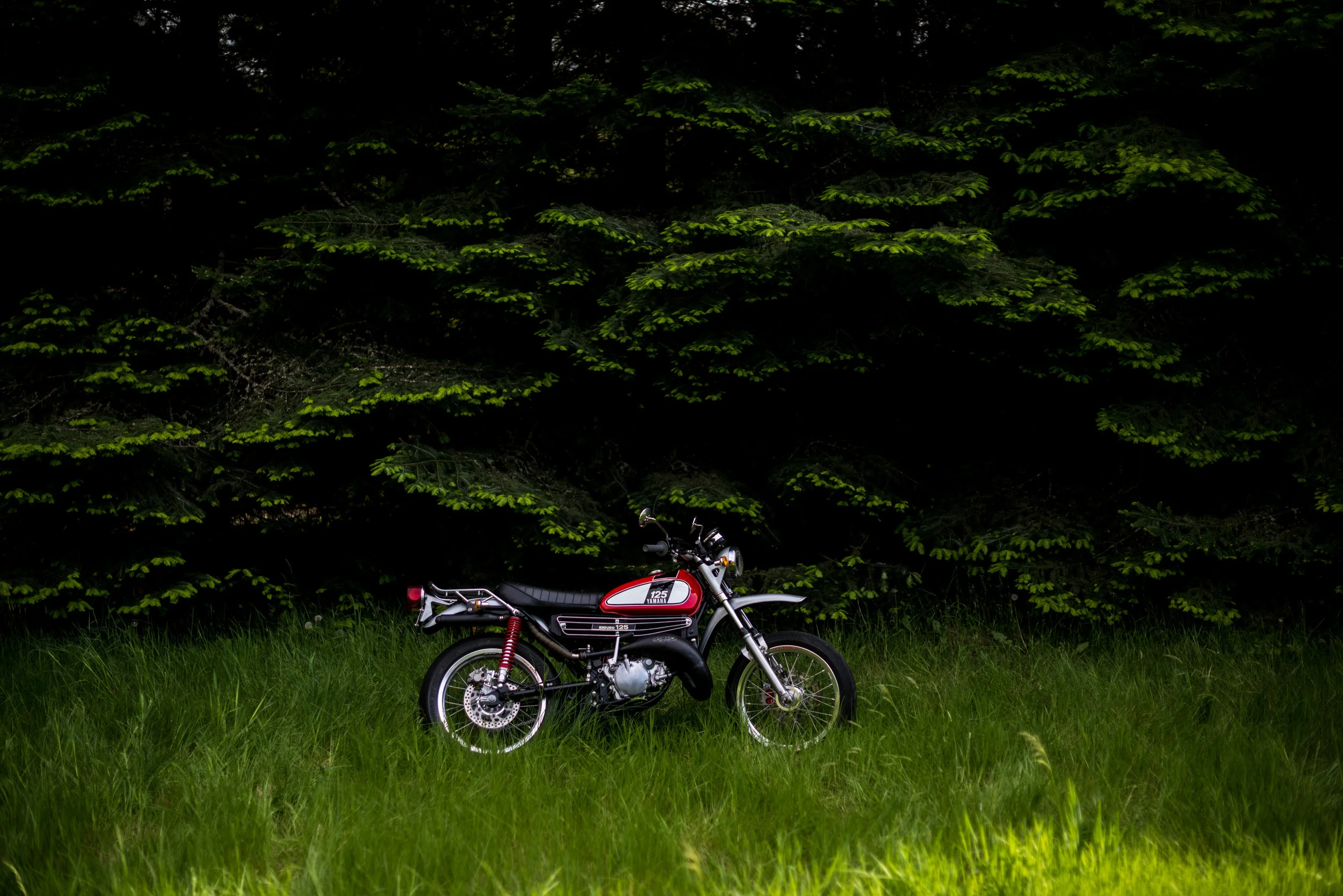 DSC_3398.jpg