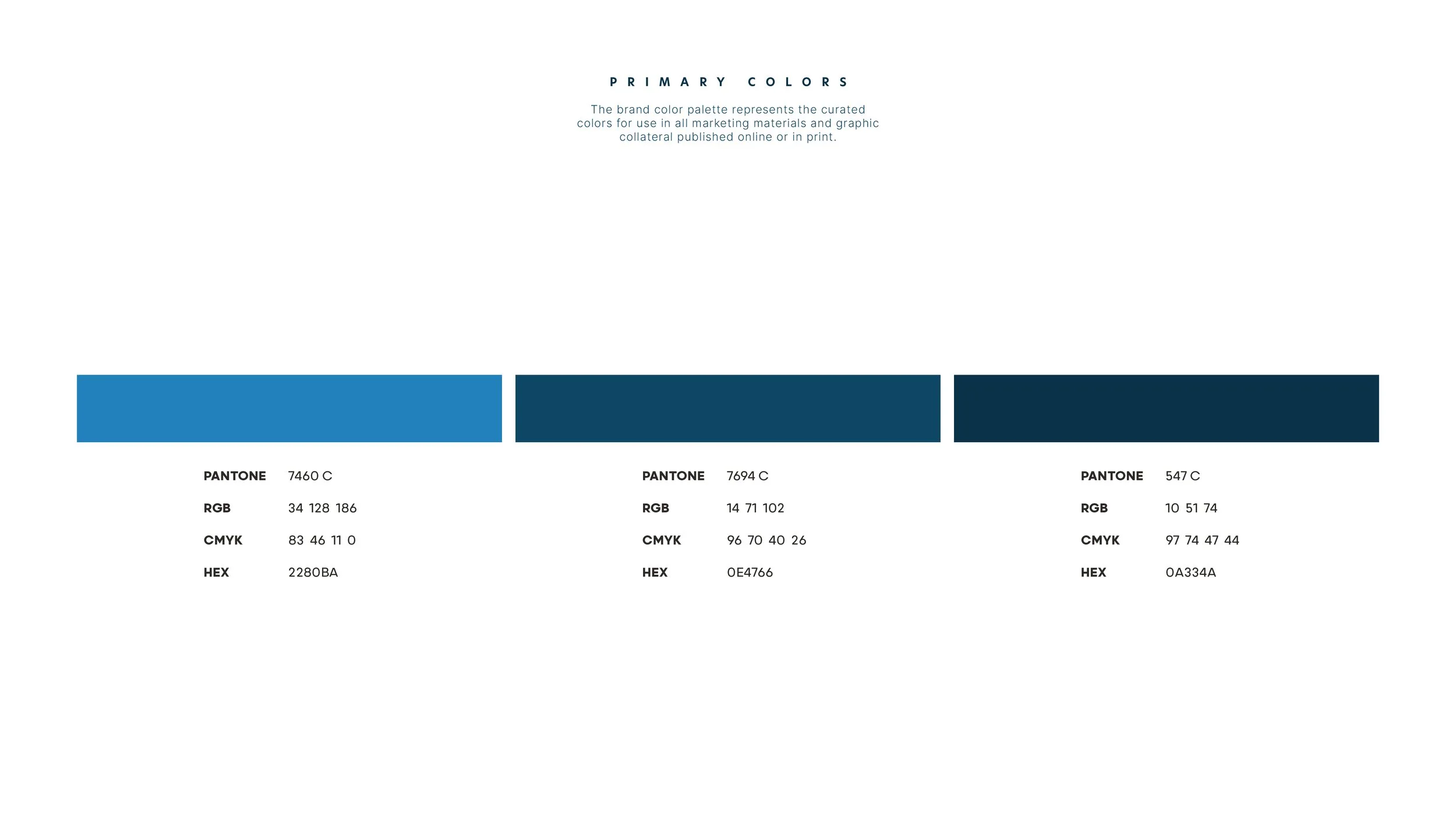 2023 0205 Bluestone Brothers Brand Guidelines10.jpg