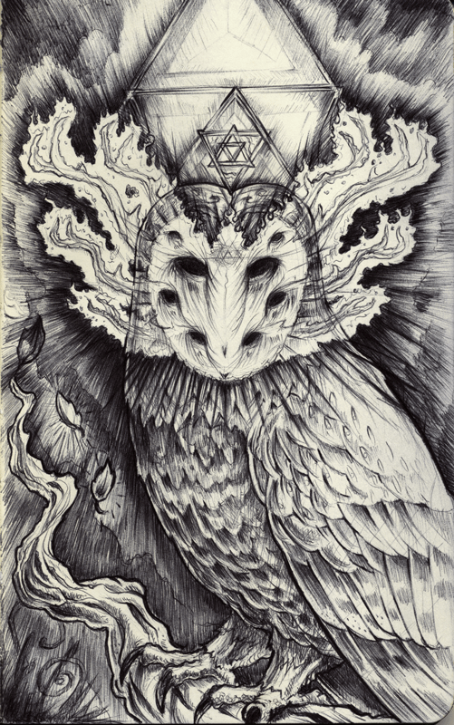 Seize the Night Eternal