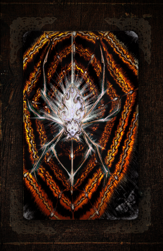 Indra's-Web.gif