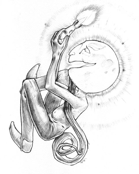 Man of the Moon