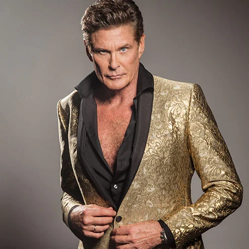 david-hasselhoff_500x500.jpg