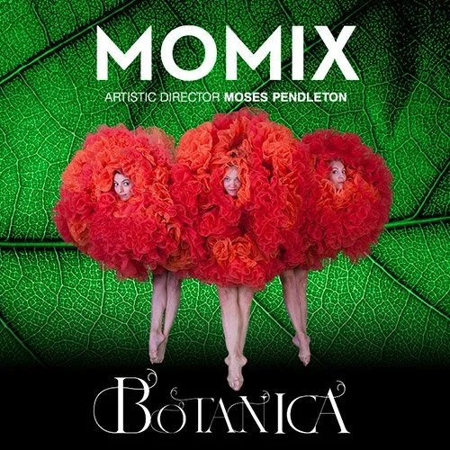 Momix - Priority Sale