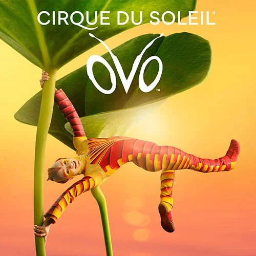 Cirque du Soleil OVO - Priority Sale