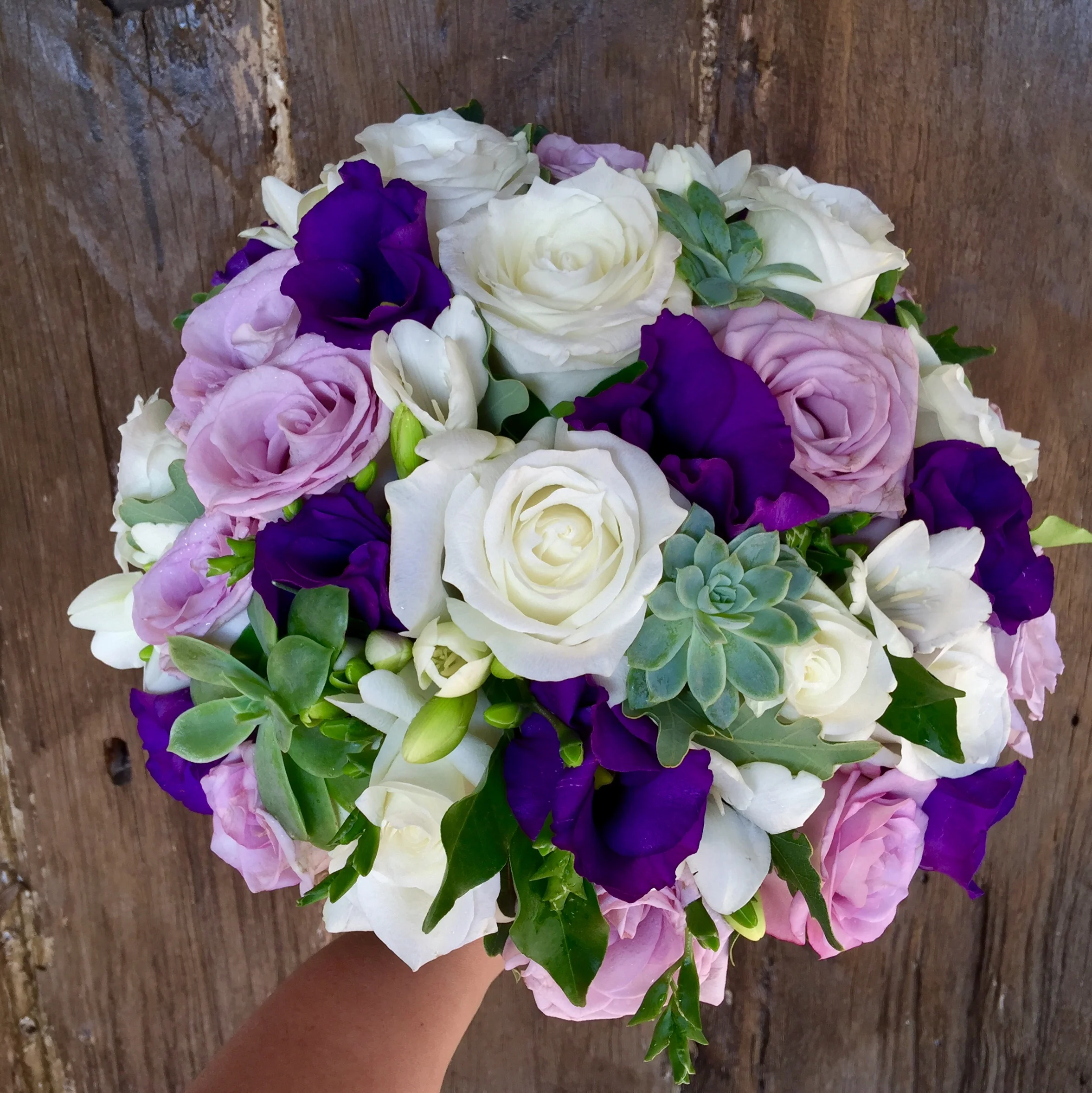 succulents lissi roses bride.JPG
