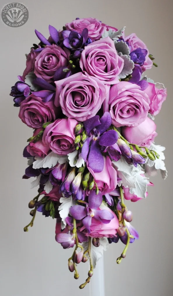 Trail roses, orchids freesia Alice standard_resize.jpg