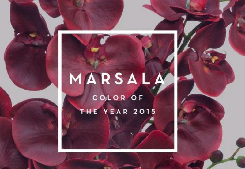 Marsala-Pantone-Color-2015.jpg