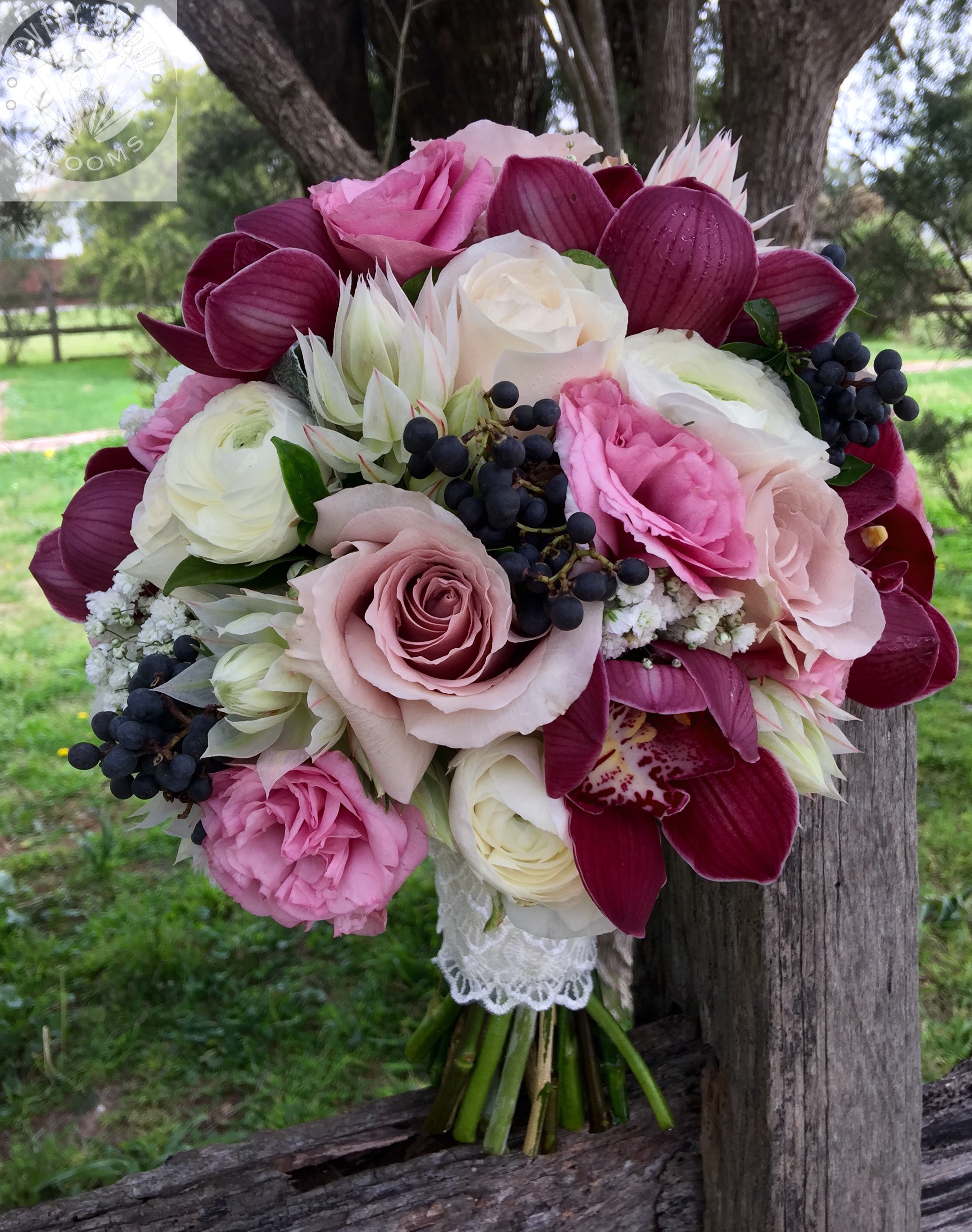 cymbids roses lissi bbride ranunc privit bride.JPG