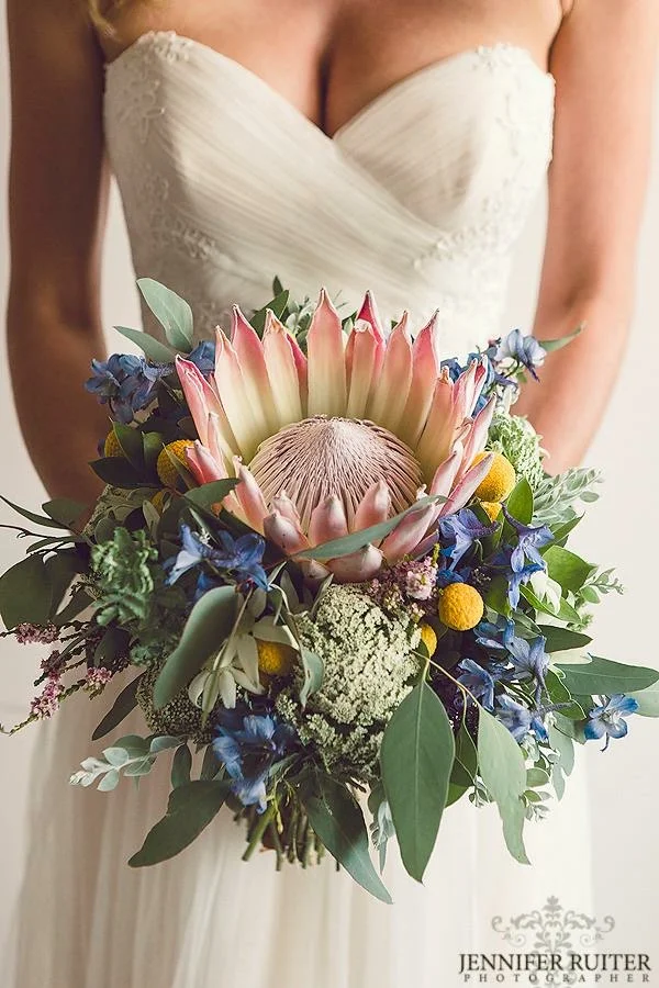 Jennifer Ruiter Photography