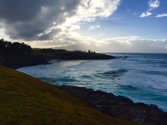 One of the many ocean views along the Hana Highway.