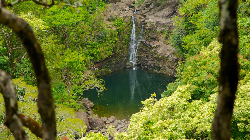 Garden of Eden Waterfall