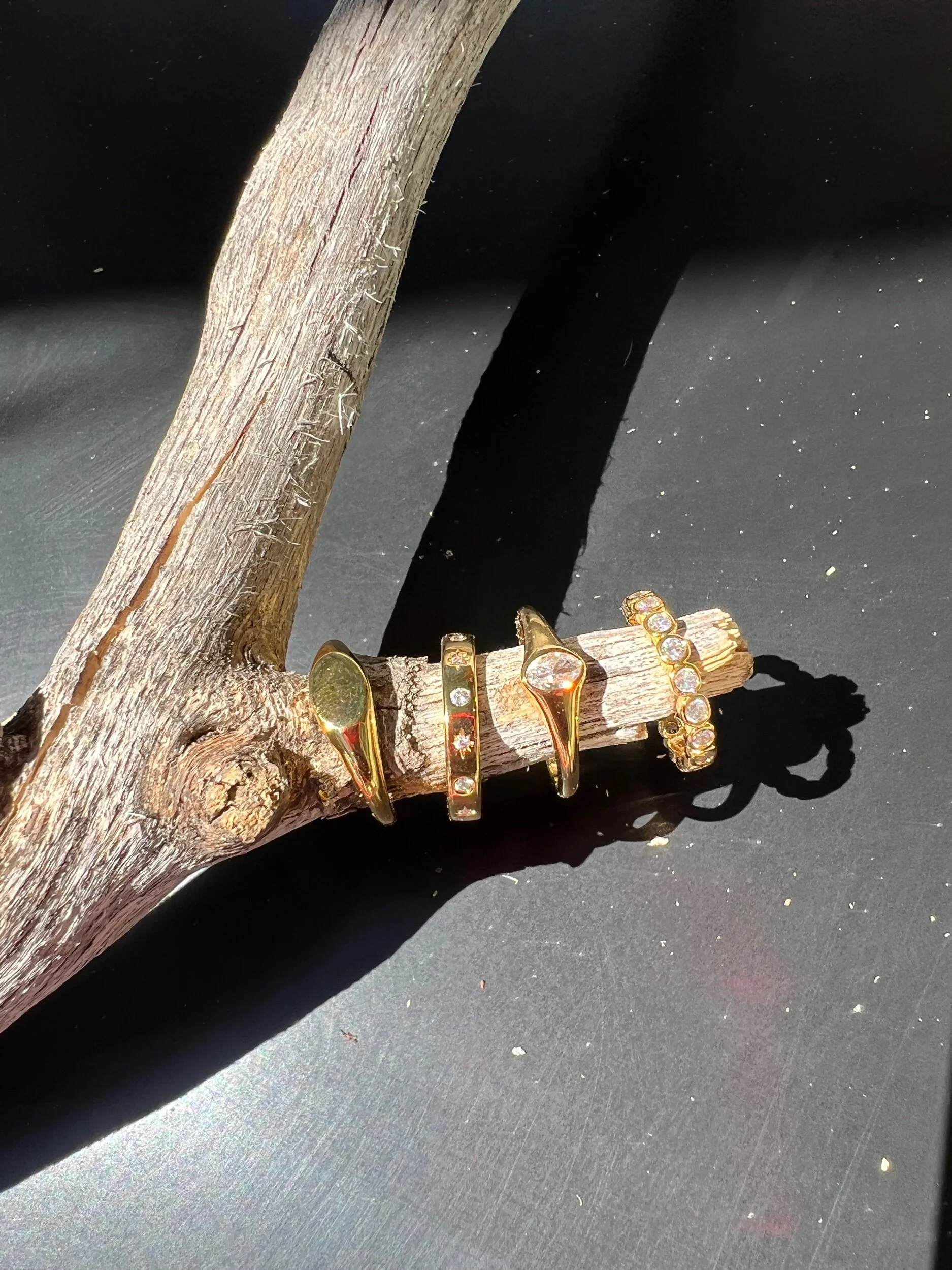 16153247-4726-4A5B-9B1C-CB194B30B2A6