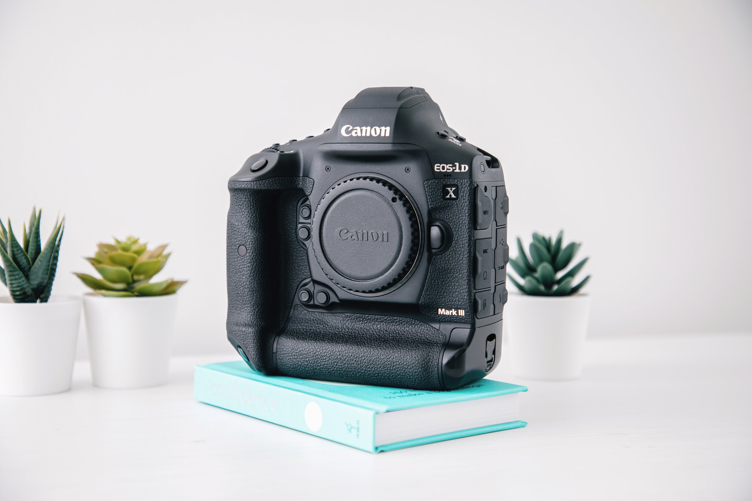 RNI-Films-IMG-E17F004A-F4BA-4E48-8F82-D0F4FF07CC49 2.JPG