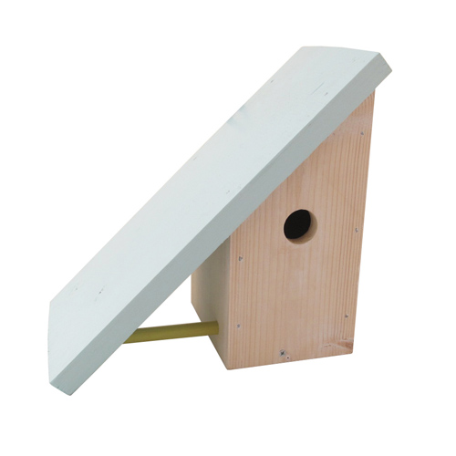 lottacole-birdhouse72dpi.jpg