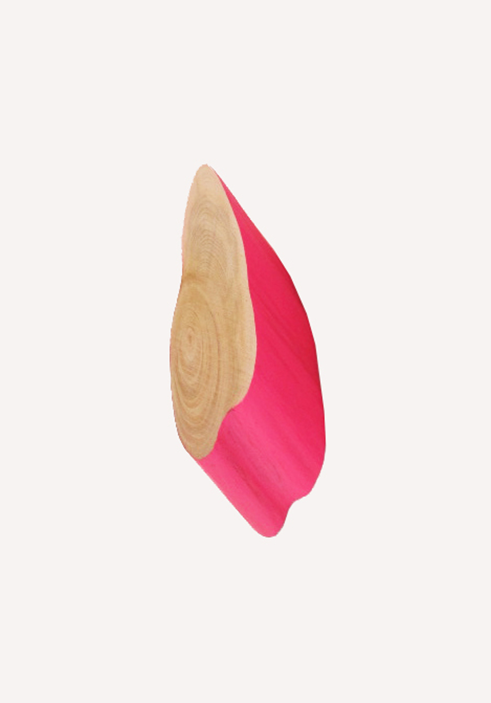 lottacole-large-wallhook-pink.jpg