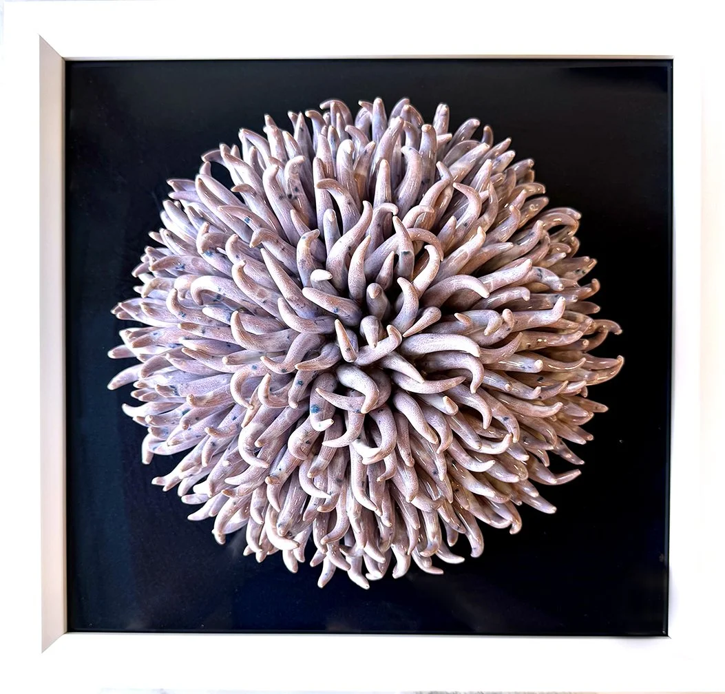 PurpleAsterAnemone1_small.jpg