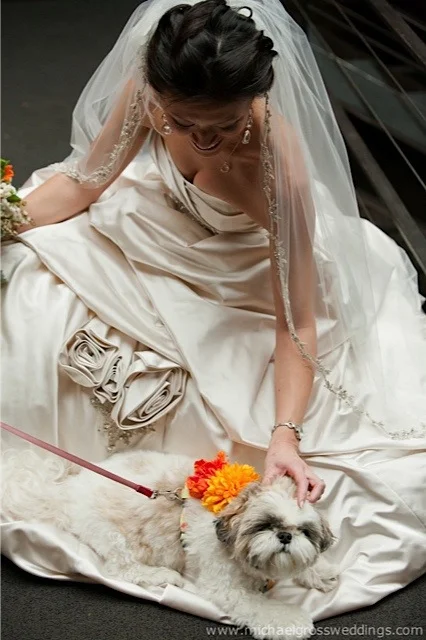 jose_rolon_events_christina_steve_2.jpg