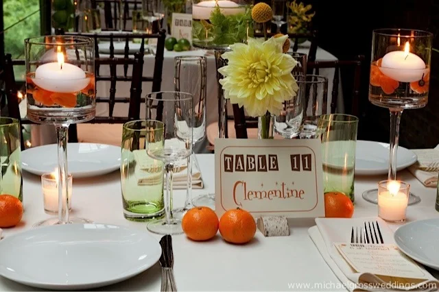 jose_rolon_events_christina_steve_14.jpg