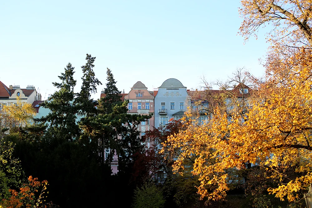 IMG_1665 copy.jpg