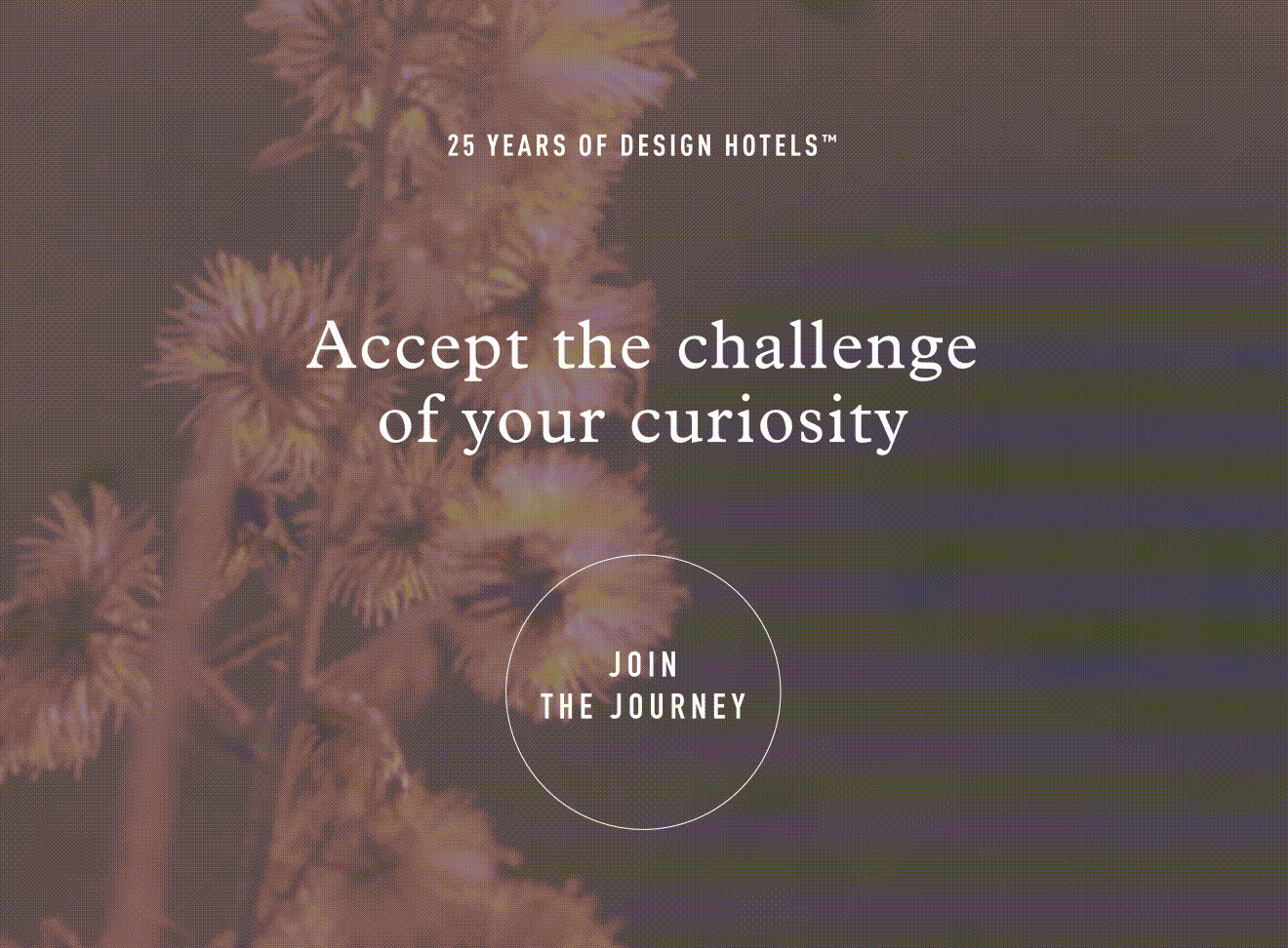 NL-community-ad-jtj-curiosity-v4-low.gif