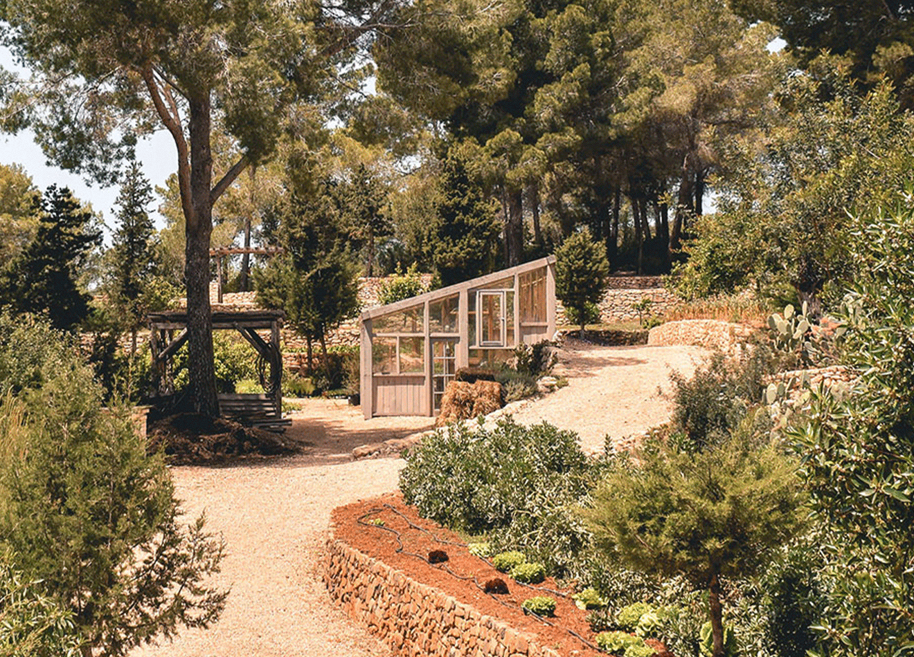 01-NL-Further-ibiza-evolution-farm-upd.gif