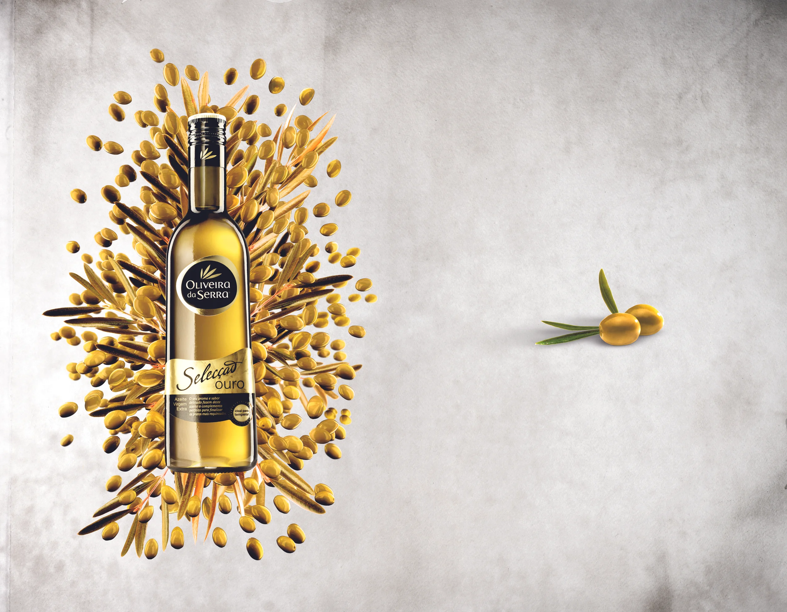 Oliveira da Serra alterações.jpg