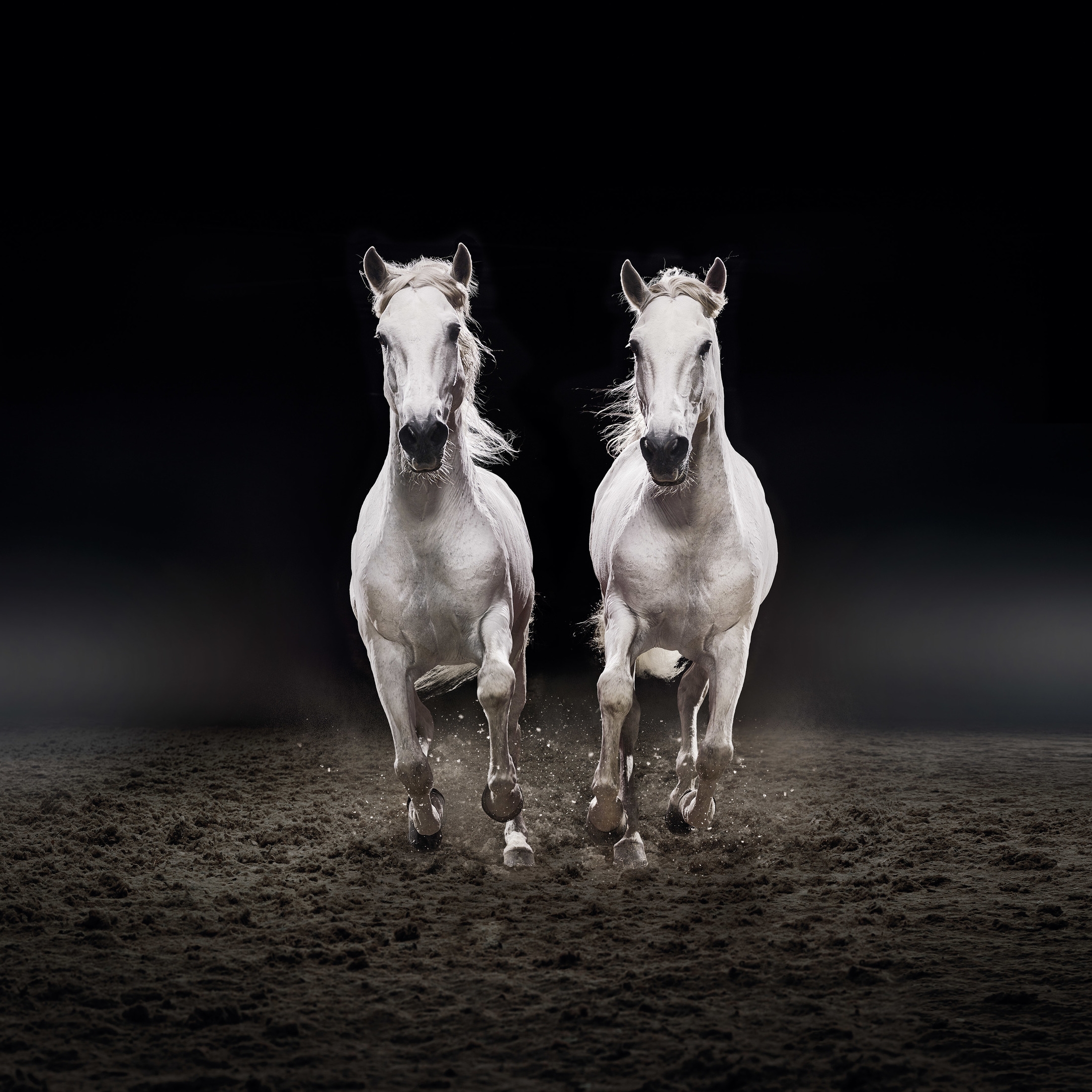 PARTNERS-Banco CTT_Teaser-24.03.16-v9.jpg