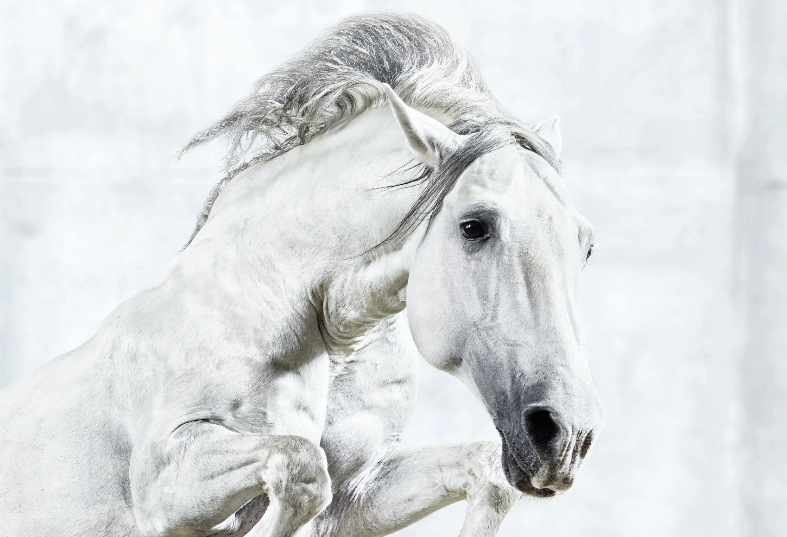 Screen Shot 2017-09-13 at 12.00.48 PM.png