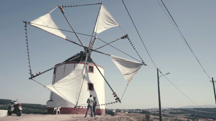 Untitled-2.gif
