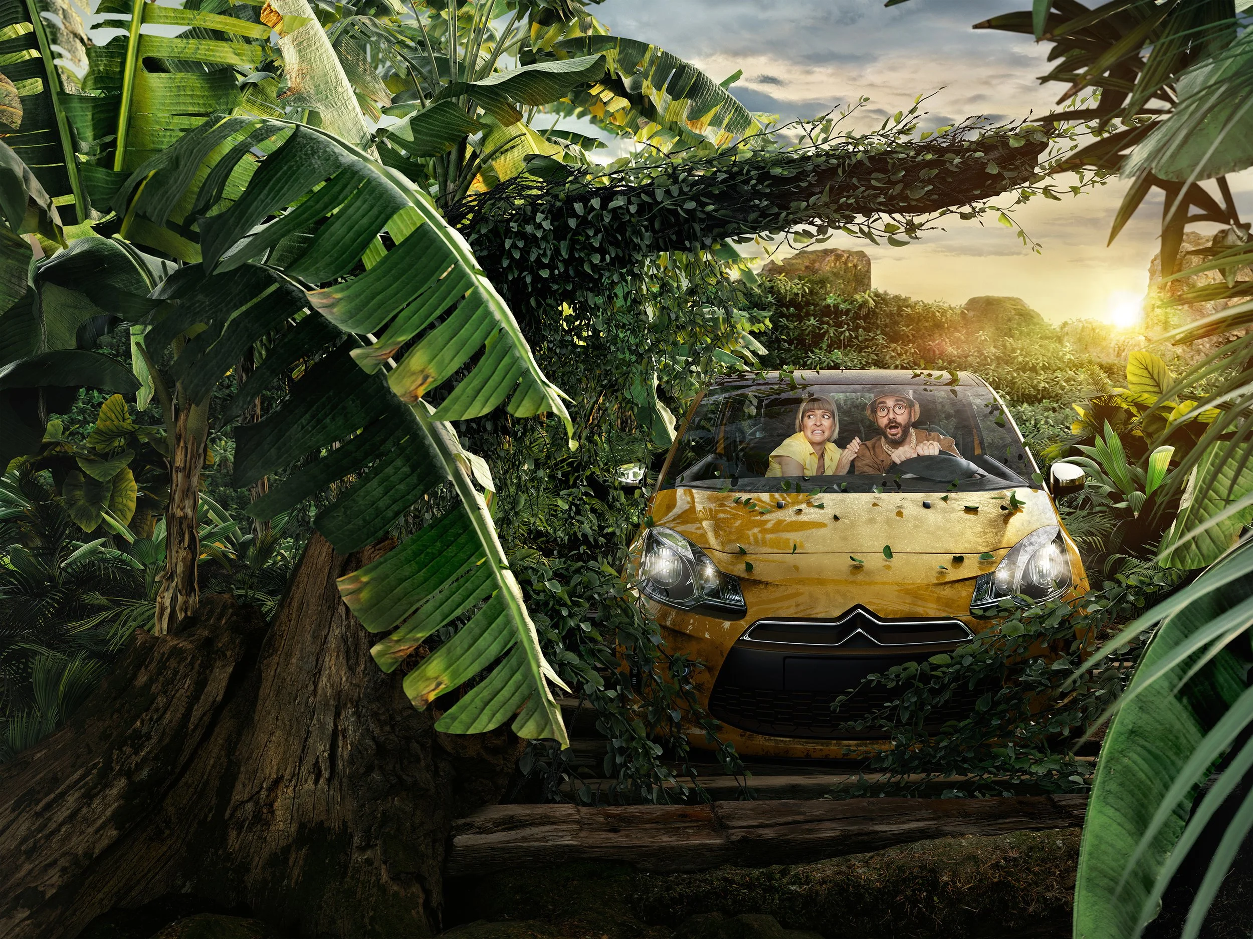 Prio_Selva_Tema 03.jpg