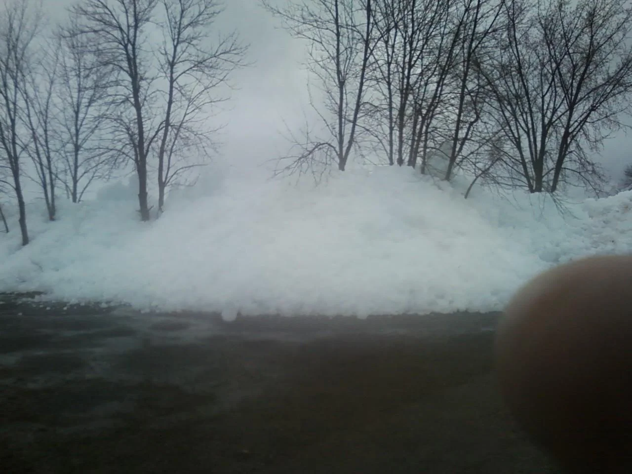 Misery Loves Company