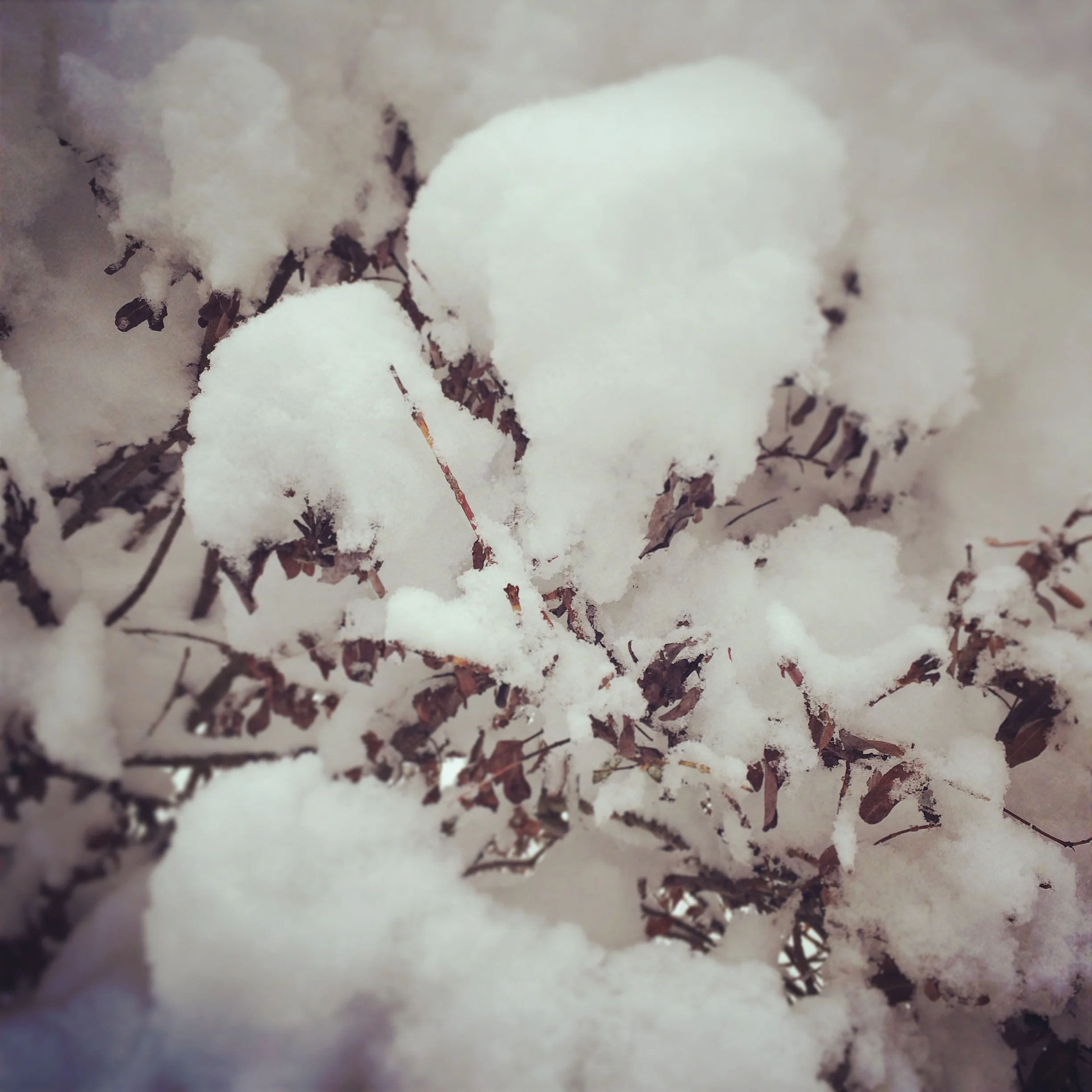 NOAA: Winter Outlook for Minnesota is Mild(er)