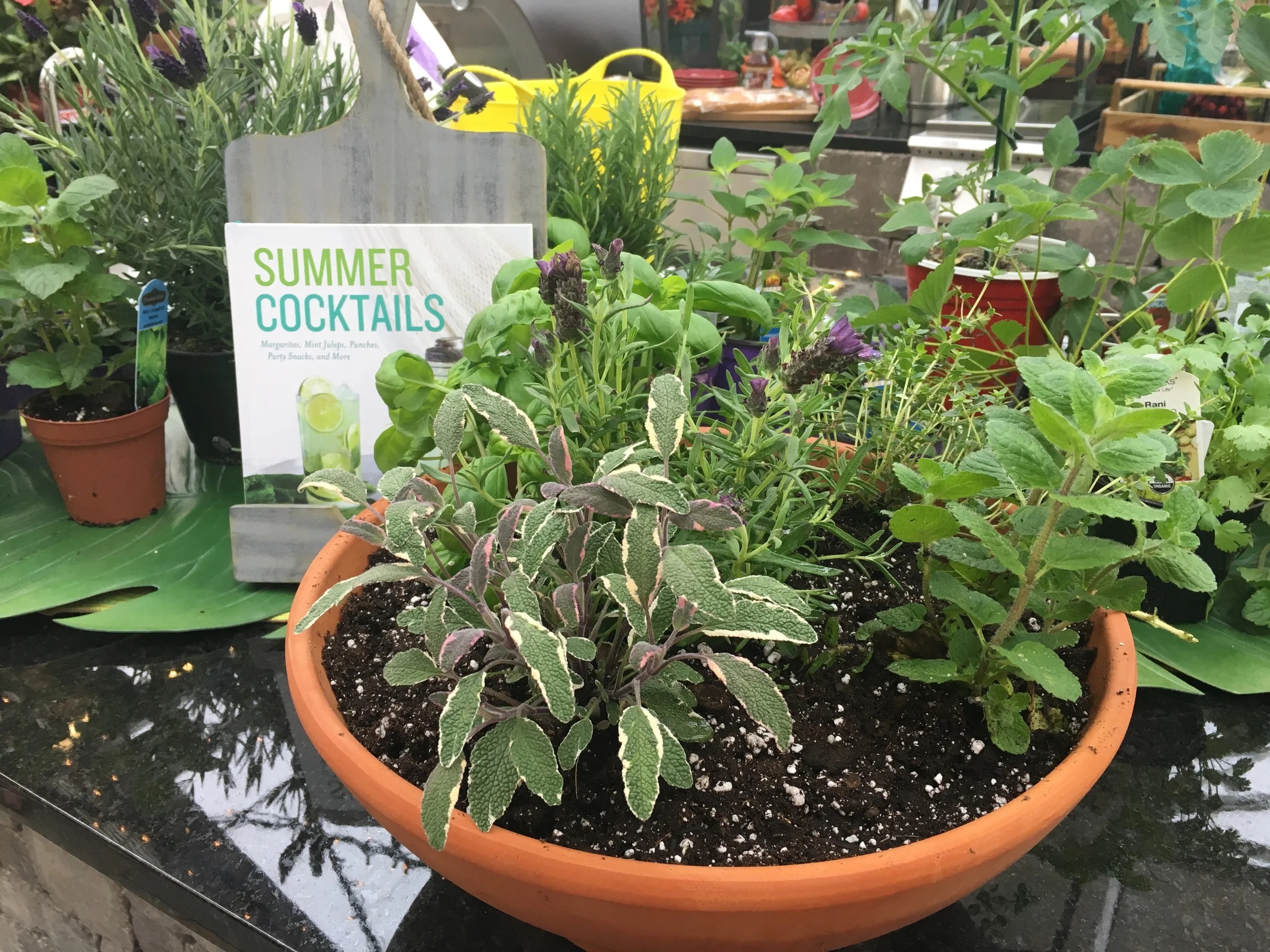 Cocktail Herb Garden
