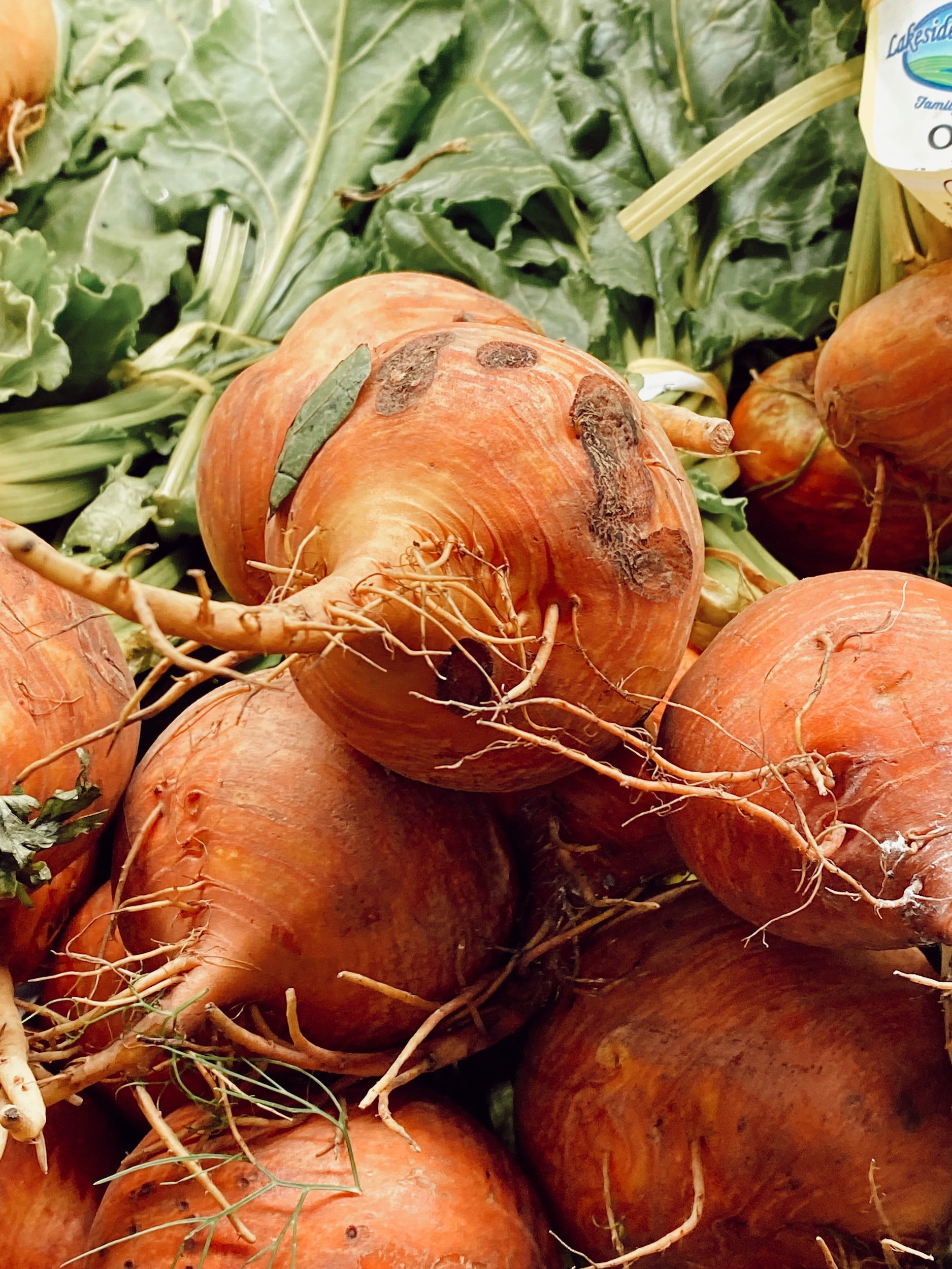 Turn The Beet Around